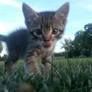 Meet your Posher, Natalie